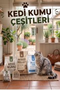 Kedi Kumu