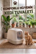 Kedi Tuvaleti