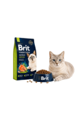 Kedi maması