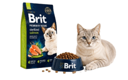 Kedi maması