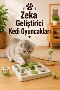 Zeka Geliştirici Kedi Oyuncakları