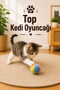 Top Kedi Oyuncağı