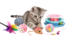 Kedi Oyuncakları