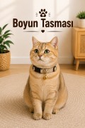 Boyun Tasması