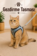 Gezdirme Tasması