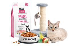 Kedi Ürünleri