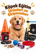 Köpek Eğitim Ürünleri ve Ekipmanları
