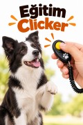 Eğitim Clicker