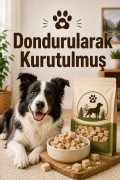 Dondurularak Kurutulmuş