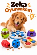 Zeka Oyuncakları