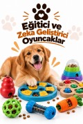 Eğitici ve Zeka Geliştirici Oyuncaklar