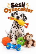 Sesli Oyuncak