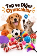 Top ve Diğer Oyuncaklar