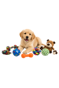 Köpek Oyuncakları