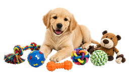 Köpek Oyuncakları