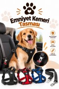 Emniyet Kemeri Tasması