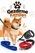 Gezdirme Kayışları