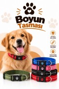 Boyun Tasması