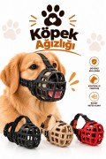 Köpek Ağızlığı