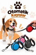 Otomatik Kayışlar
