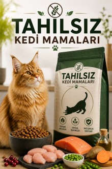 Tahılsız Kedi Mamaları Tahılsız Kedi Mamaları