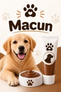 Macun
