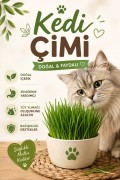 Kedi Çimi