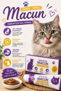 Macun