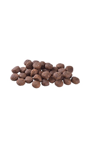 Brit Care Adult Medium Breed Mono Protein Tahılsız Hipoalerjenik Kuzu Etli Yetişkin Köpek Maması 3 Kg