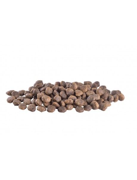 Brit Care Mini Adult Tahılsız Hipoalerjenik Kuzu Etli Yetişkin Köpek Maması 2 Kg