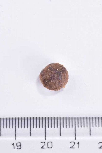 Brit Care Sensitive Tahılsız Hipoalerjenik Böcek Proteini ve Taze Ringa Balıklı Yetişkin Kedi Maması 2 Kg
