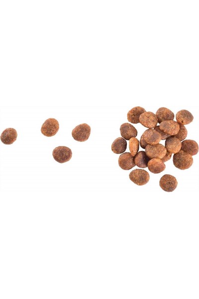 Brit Care Sensitive Tahılsız Hipoalerjenik Taze Hindi ve Somonlu Yetişkin Kedi Maması 2 Kg