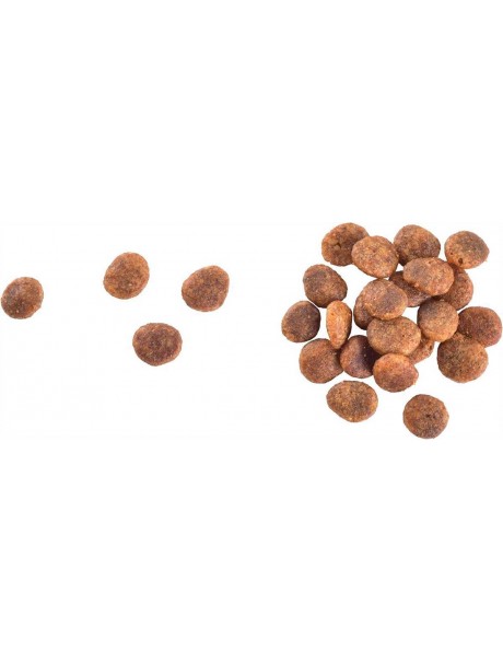 Brit Care Sensitive Tahılsız Hipoalerjenik Taze Hindi ve Somonlu Yetişkin Kedi Maması 2 Kg