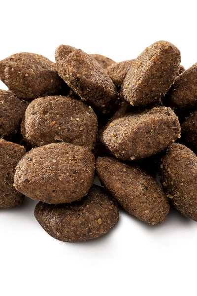 Brit Premium By Nature Hassas Sindirime Sahip Köpekler İçin, Kuzu Etli Kuru Mama 15 kg