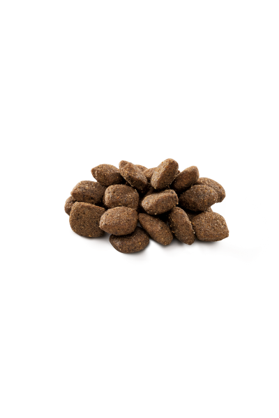 Brit Premium By Nature Hassas Sindirime Sahip Köpekler İçin, Kuzu Etli Kuru Mama 15 kg