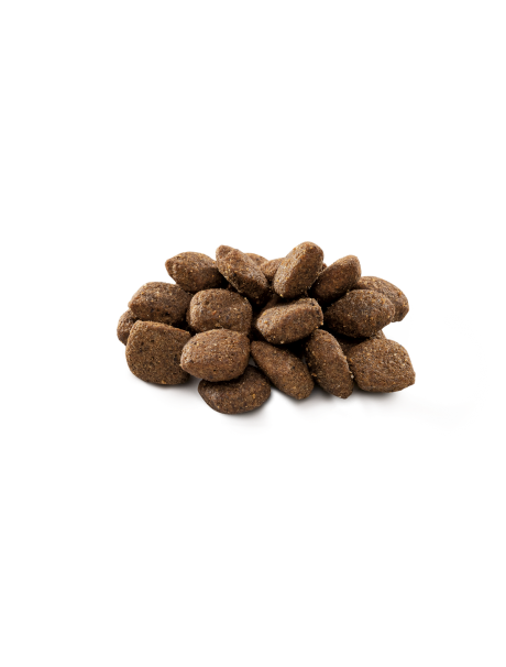 Brit Premium By Nature Hassas Sindirime Sahip Köpekler İçin, Kuzu Etli Kuru Mama 15 kg